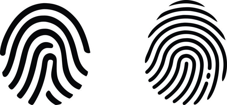 Two different fingerprint silhouettes with intricate patterns, vector illustration on transparent background.