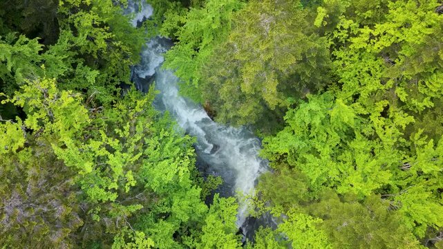 Aerial view shows the river flowing through mountains and trees in the French Pyrenees. Nature surrounds the area during the day