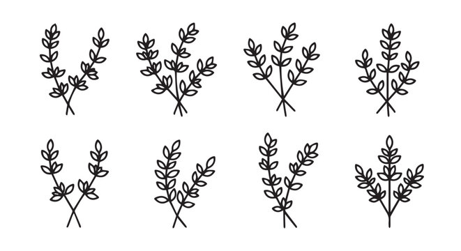 Set of hand drawn botanical herbs and foliage branches illustration with botanical collection decoration illustration monochrome isolated ornament greenery minimalist creative