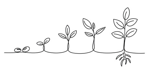 Continuous line art drawing of plant growth from seed to sprout on transparent background © Shamsun