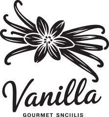 Fototapeta premium Vanilla flower with spice pods hand drawn vector illustration for gourmet baking and extract design.