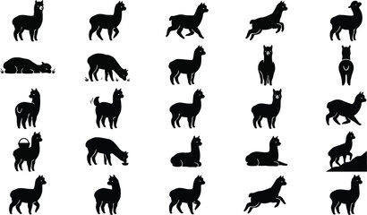 Naklejka premium Alpaca Silhouette Pose Set – Fluffy Mountain Animal Black Vector