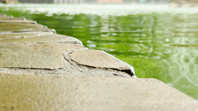 A stone border lines the edge of a green fountain pool. The water ripples gently under the bright daylight. This park scene feels peaceful and serene.