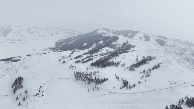 Aerial view of white snow mountains and forest patches in Xinjiang