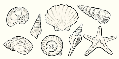 Collection Of Seashells And Starfish In Sketch Style © Promit