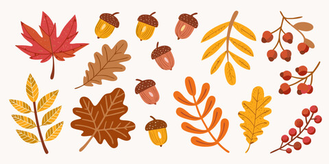 Autumn leaves and acorns colorful vector illustration on a cream background © Promit