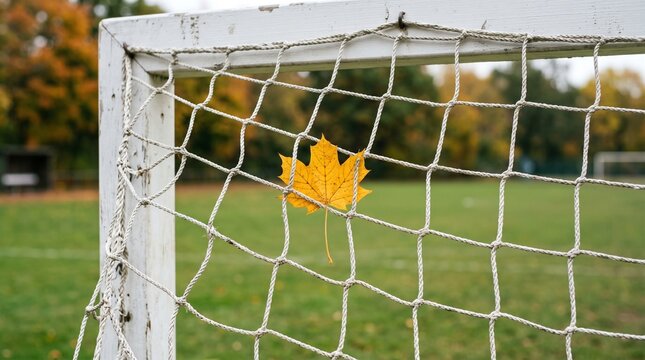 Soccer goal with autumn leaf caught in net on field