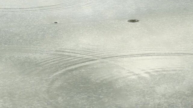 Raindrops create expanding circular ripples in a shallow puddle. The water covers a wet stone pavement. The smooth surface reflects the cloudy sky.