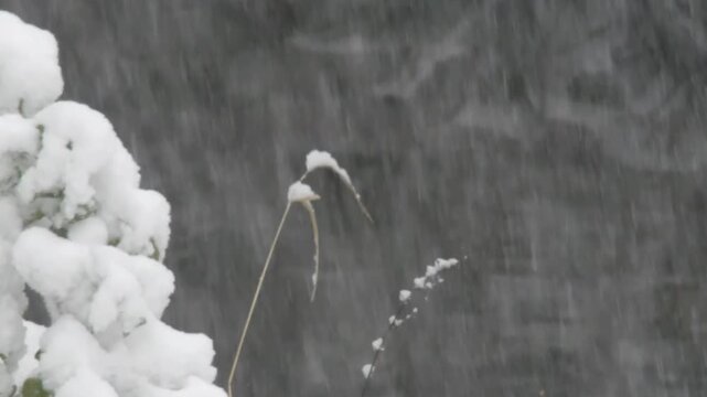 Heavy snow falling on an English Country Cottage garden. Worcestershire, England, UK