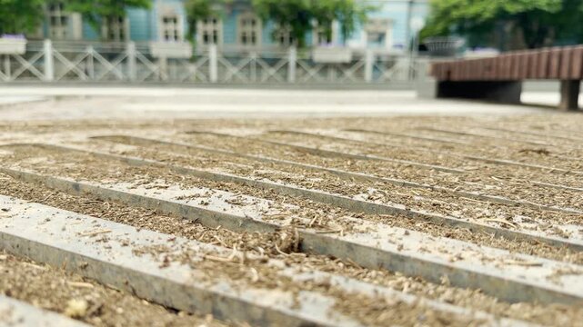 Tiny black ants walk across a dusty metal protective grate. The flat parallel bars are covered with fine dirt. A white car and city buildings sit blurred in the background.