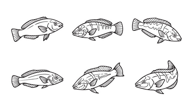 Collection of hand-drawn fish sketches in different swimming poses with underwater wildlife handdrawn monochrome swimming ichthyology collection isolated background illustration creature