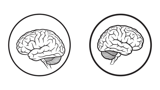 Human brain side view illustration in two circular frames, minimalist neuroscience concept on dark background