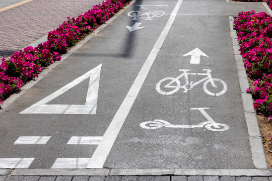 Bicycle lane in Abu Dhabi, UAE surrounded by flowers