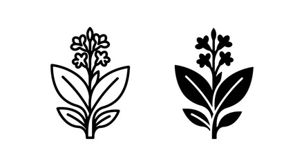 Tobacco Plant Icons, Leaf and Flower Vector Graphics, Botanical Outline and Silhouette Symbols © Tamanna