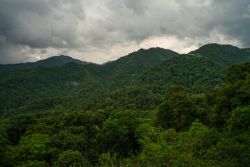 Obraz premium Lush green mountains covered with mist and clouds, creating a dramatic natural landscape.
