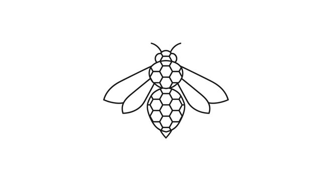 Detailed illustration of a honey bee.