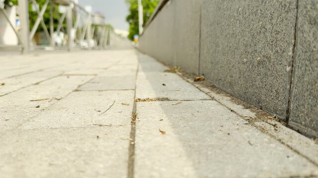 Cars scurry along the busy city road next to a stone curb. The paved sidewalk leads the eye toward the blurred urban background.