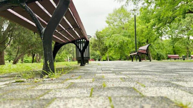 A red park bench sits prominently on a paved stone path in a green garden. In the background, other benches line the walkway, creating a peaceful and quiet place for relaxation.