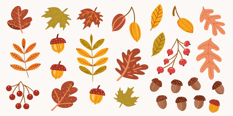 Autumn Leaves And Acorns Vector Illustration With Warm Tones © Laki