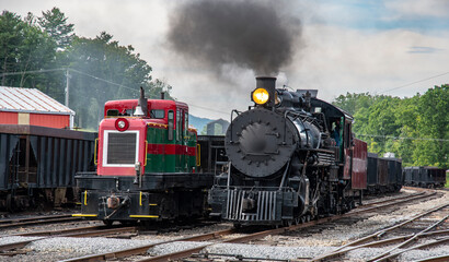 Two trains are at a railway station. One is a steam locomotive and the other is a diesel engine. Smoke rises from the steam train. It is daytime and trees are visible in the background. © Greg Kelton