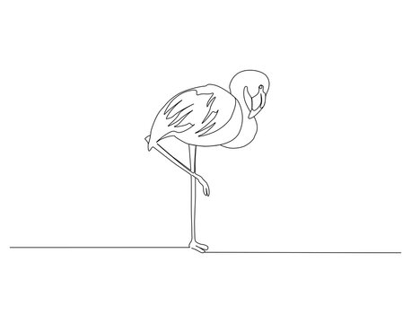 Flamingo continuous line. Continuous one line drawing of flamingo. Flamingo bird concept. Single line drawing