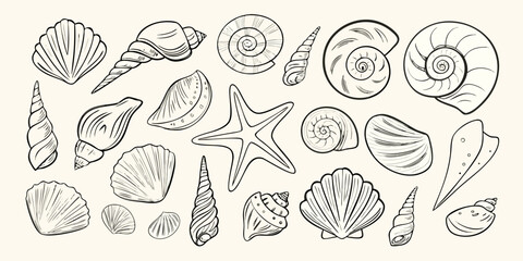 Collection Of Seashells And Starfish Detailed Sketch Style Illustration © Sarojit
