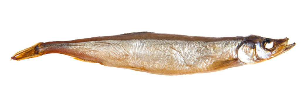 Smoked capelin fish isolated on a white background.