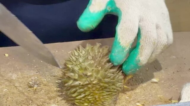  Fruit seller in Thailand cutting open the thorny shell of a ripe durian, revealing fresh yellow flesh inside, showcasing authentic market culture and tropical fruit preparation.