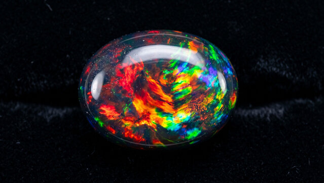 Premium Lightning Ridge black opal cabochon macro showing extraordinary play-of-colour with rolling red crimson green violet blue orange fire pattern against pure black velvet background