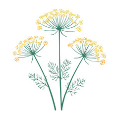 Obraz premium Flat design illustration of dill flowers and leaves
