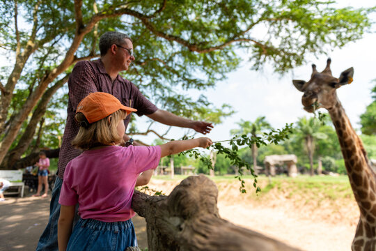 Adult and child feeding a giraffe at a zoo on a sunny day.