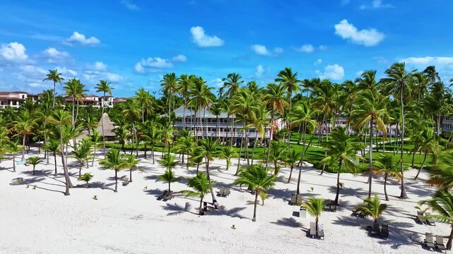Aerial view of a luxury beach holiday on the Caribbean palm coast. Palm trees and lounge chairs on a tropical beach. Luxury resorts and tourist destinations. Summer vacation at sea.