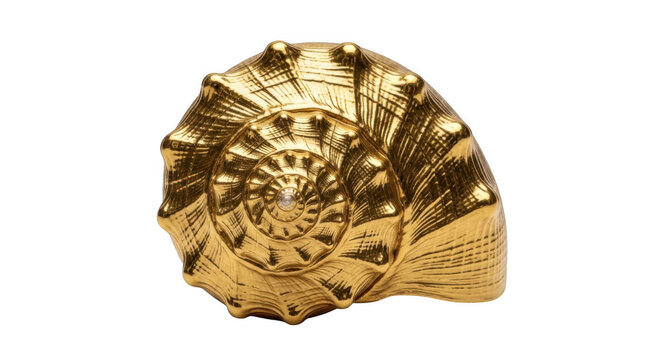 Golden seashell isolated on transparent background