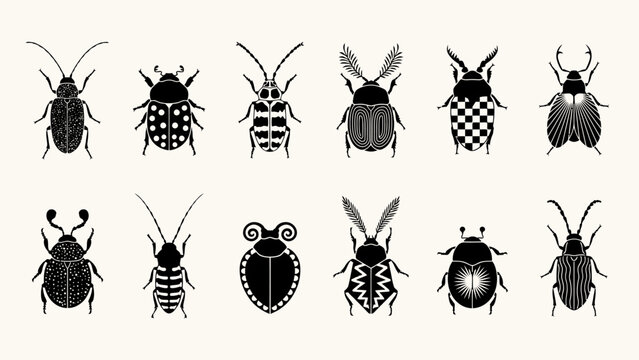 Collection of black and white beetle vector illustrations