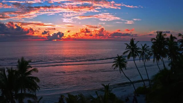 Bright orange sunset on beach
Palm trees on beach with a bright sunset.