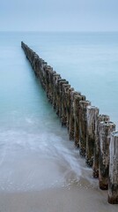 Obraz premium Dramatic perspective view of weathered wooden groyne posts leading into calm misty sea water at coastline on overcast day trip.