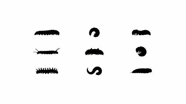Black and white caterpillar and insect larvae illustration set in simple vector style