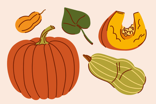 Atlantic Giant Autumn Pumpkin Leaf and Pumpkin Set, Delicata Pumpkin, Butternut Squash Slice Clip Art, Cooking Ingredients