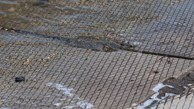 White wagtail bird standing on a textured concrete surface with a distinctive diamond grid pattern. The surface shows signs of wear and patches of dirt, with visible shadows and small water puddles.