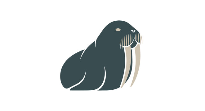 Walrus Mammal Arctic Sea Animal.