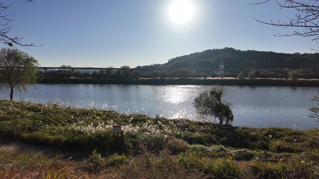 Beautiful autumn landscape of Suncheon Bay wetland