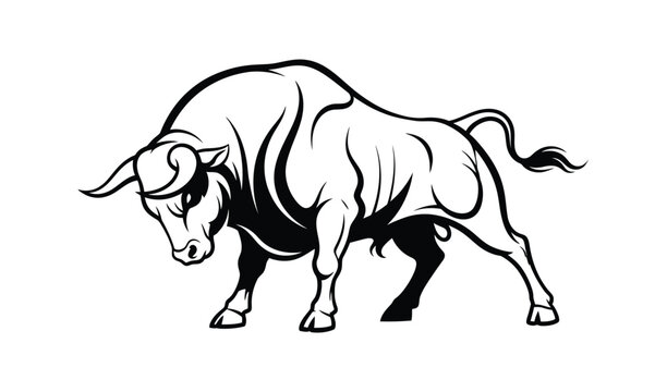 Powerful bull illustration, dynamic pose, strong muscles, black and white line art, aggressive stance, detailed anatomy, animal strength.