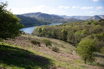 Fototapeta premium Serene Vista of Grasmere Lake
