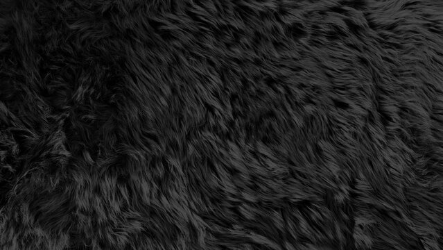 Black Fluffy Fur Texture Background, Soft Luxury Dark Faux Hair Material Pattern, Seamless Shag Carpet Fabric Textile Surface, Elegant Cozy Winter Fleece Background for Fashion Design Mockup.