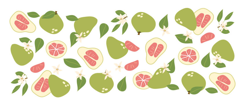 Collection of abstract citrus fruit, pomelo set or pattern, contemporary art print. Modern background with hand drawn green pomelo fruit. Trendy design for wrapping paper, packaging, wall decor.