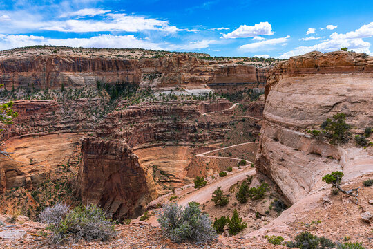 The Shafer Trail zigzags down steep red sandstone canyon walls into a deep gorge at Canyonlands National Park, surrounded by layered desert cliffs.
