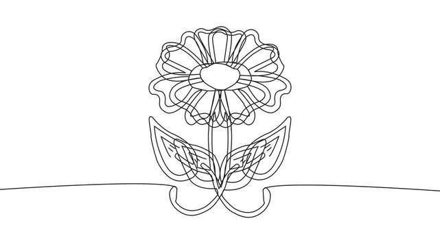 Minimalist single line art flower with leaves animation, featuring thin black outline path tracing, creative geometric line drawing sequence overlay clip for modern spring design asset. 4k video