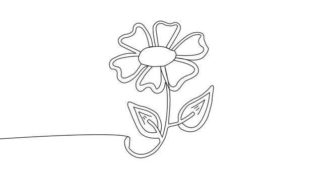 Continuous one line drawing of a flower shape, with minimalist black stroke on white background, abstract self drawing linear animation loop of simple blooming floral plant vector icon. 4k video