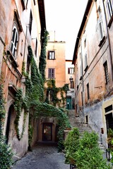 Obraz premium Picturesque narrow alleyway in the historic Trastevere district of Rome, Italy, with old buildings covered in lush green ivy and creeping vines.