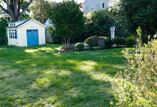 Blue-trimmed shed in the backyard